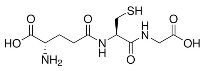 Glutathione (GSH)