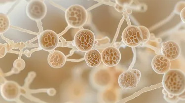 Gut Microbiome Variations May Be Predictive of Precancerous Colonic Lesions, CRC