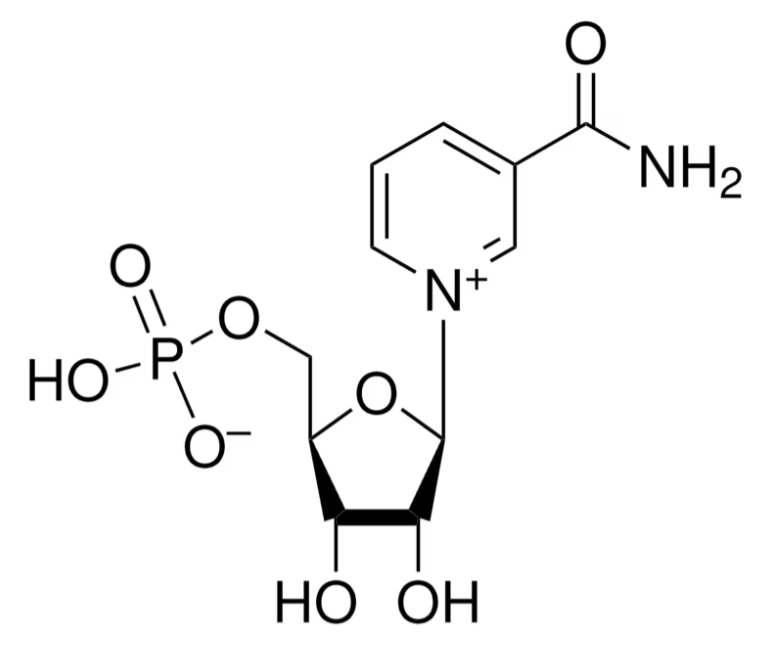 β-Nicotinamide mononucleotide(β-NMN)