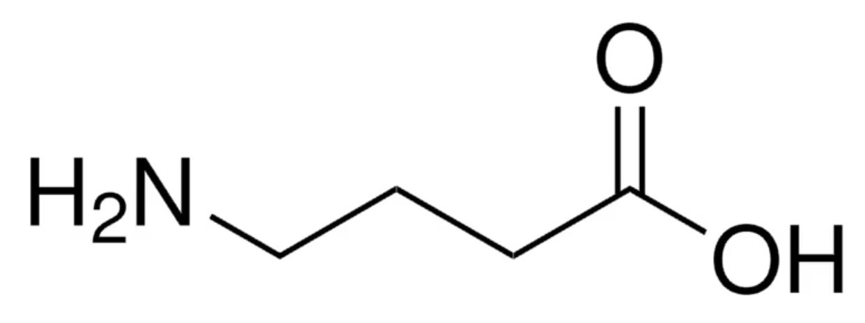 γ-aminobutyric acid (GABA)