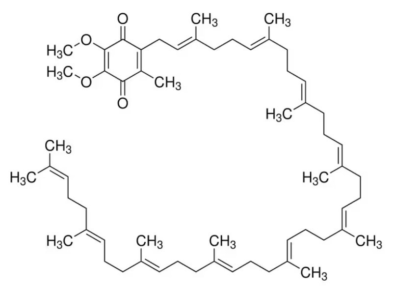 Coenzyme Q10